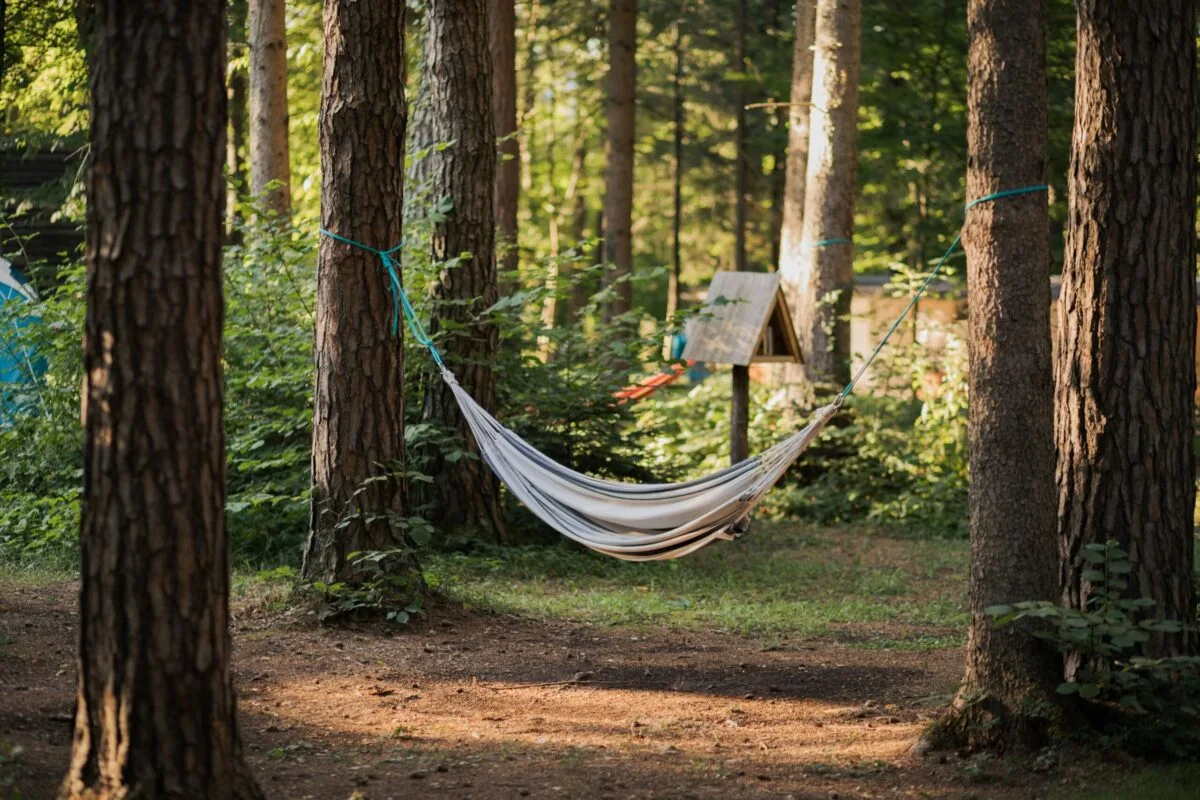 Camping area