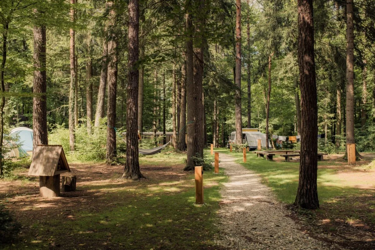 Camping grounds