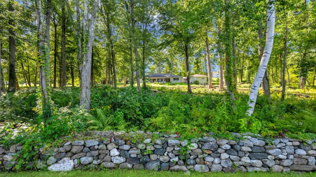 A wooded garden with a low stone retaining wall in the foreground.