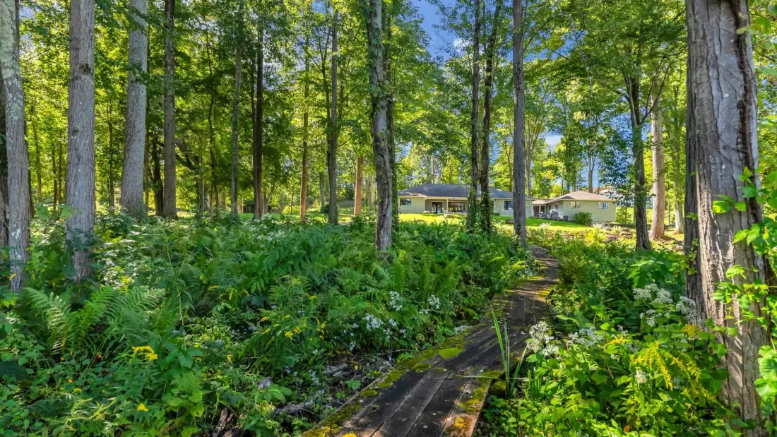 A wooded garden path winds through lush greenery toward a house.