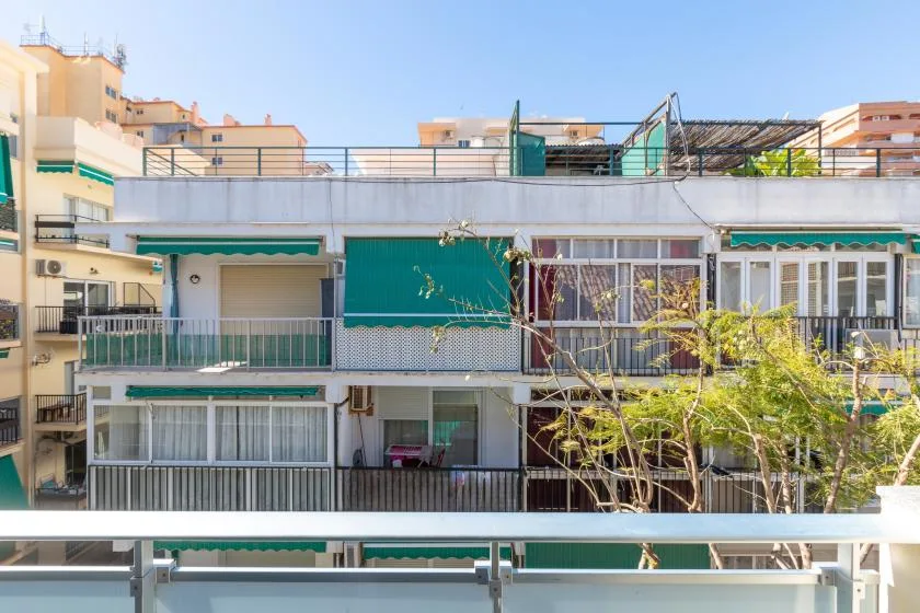 A row of apartment balconies with green awnings faces a leafy tree.