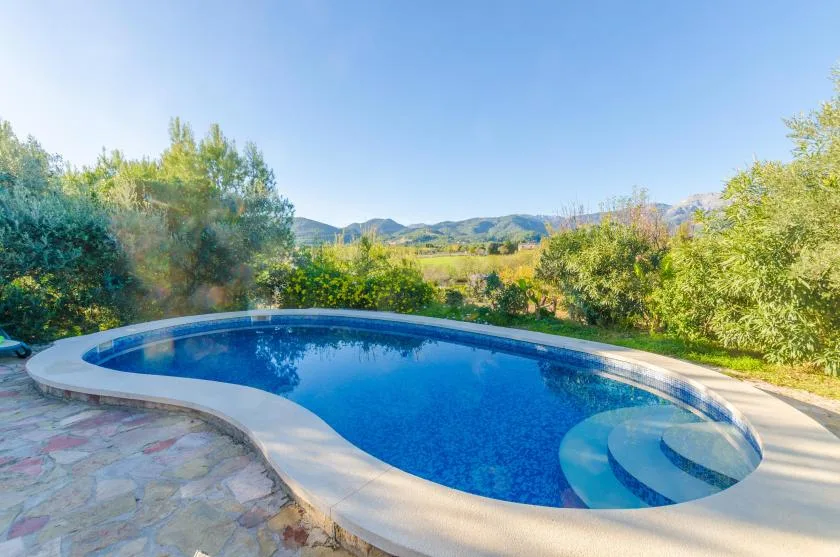 A curved swimming pool sits beside a stone patio, with hills in the distance.