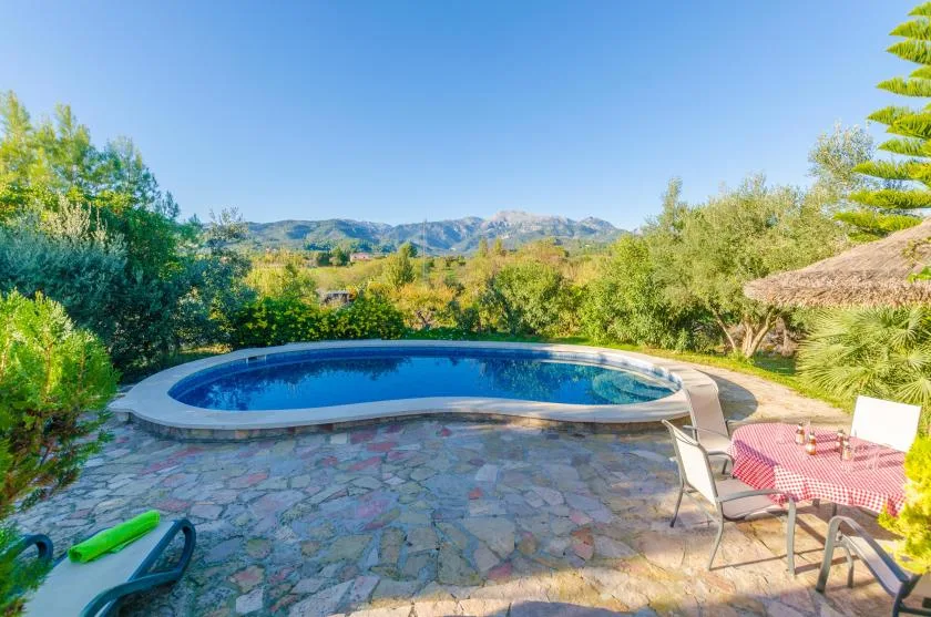 An outdoor swimming pool sits beside a stone patio with chairs and greenery.