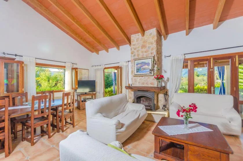 A living and dining room with seating, a fireplace, and a wooden dining table.