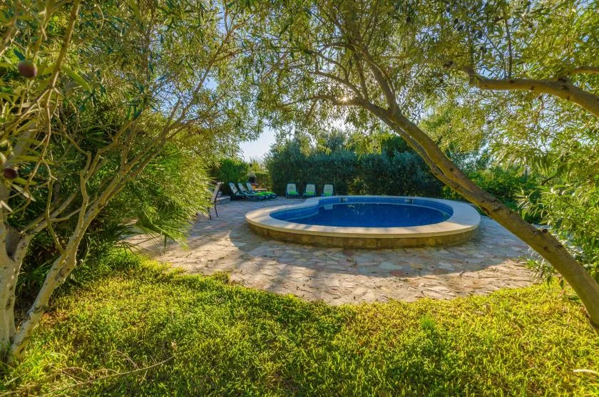 A small swimming pool sits on a paved patio surrounded by trees and greenery.