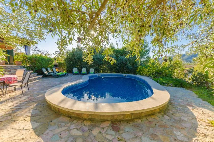 An outdoor swimming pool sits in a stone-paved patio beneath leafy trees.