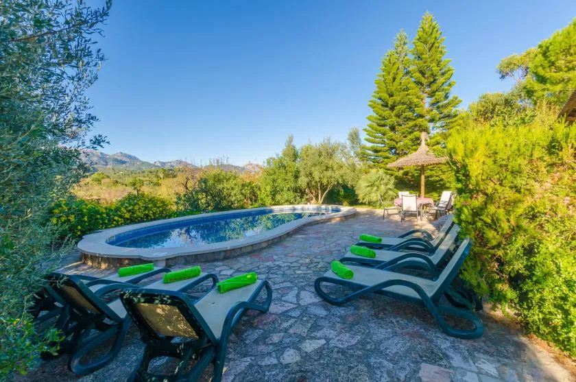 An outdoor pool beside reclining seating, surrounded by green trees and shrubs.
