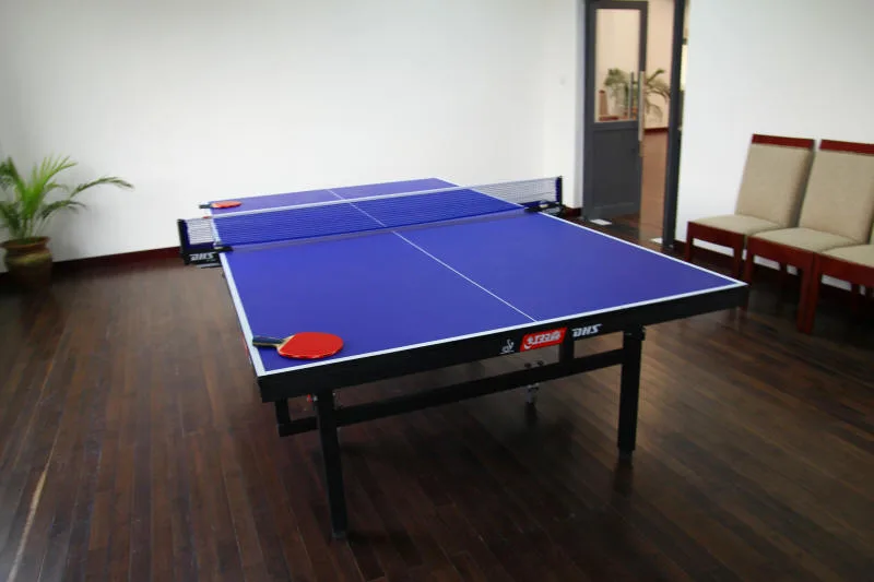 Tenis de mesa