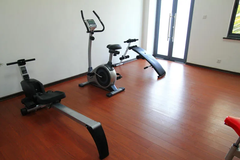 Gimnasio