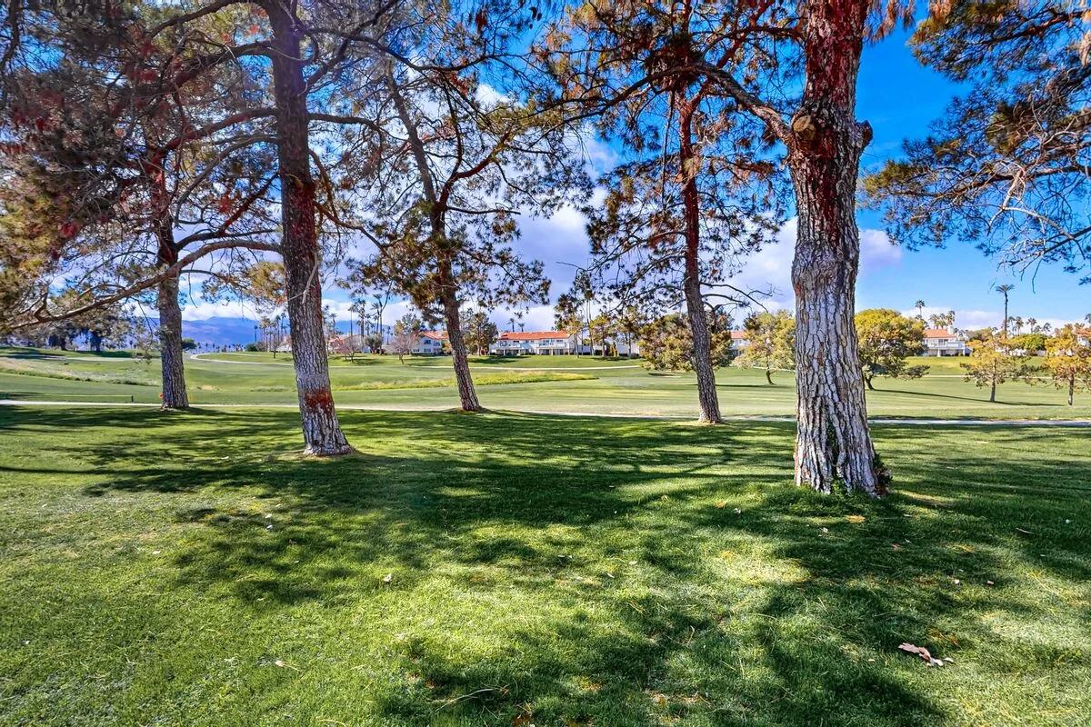 A grassy park with tall trees and open lawn beneath a bright blue sky.
