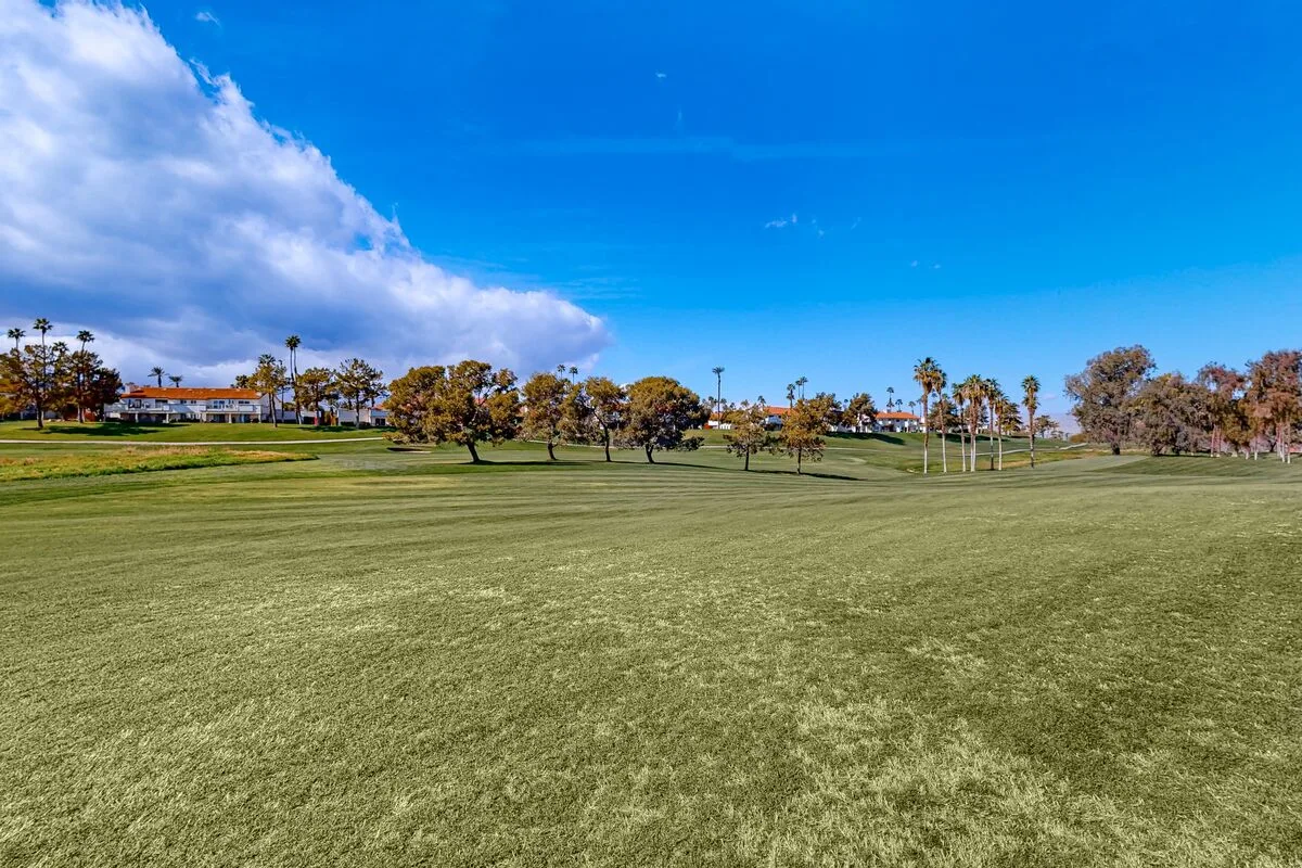 A broad grassy field stretches toward scattered trees beneath a blue sky.