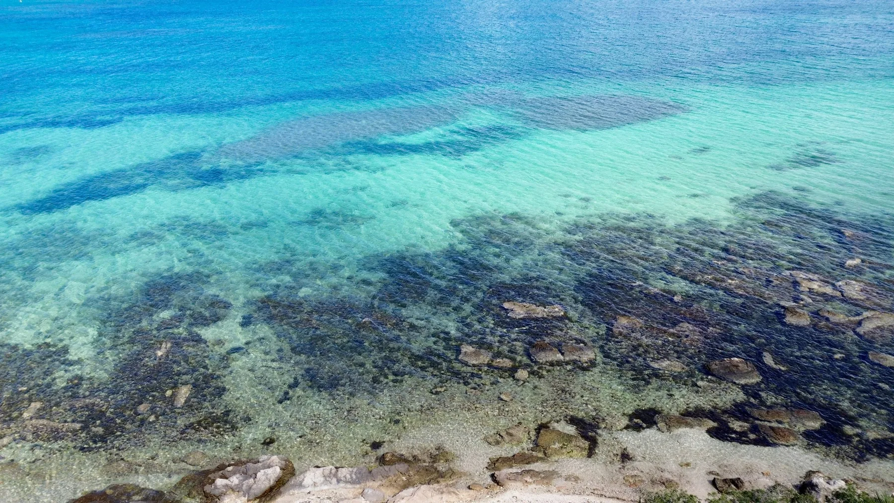 Agua de mar turquesa y transparente cubre una orilla rocosa poco profunda.