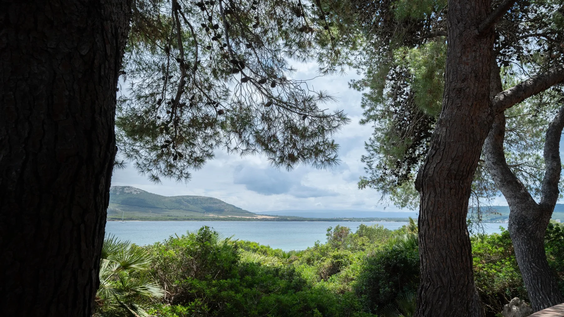 Se ven un lago y colinas lejanas más allá de los árboles y arbustos.