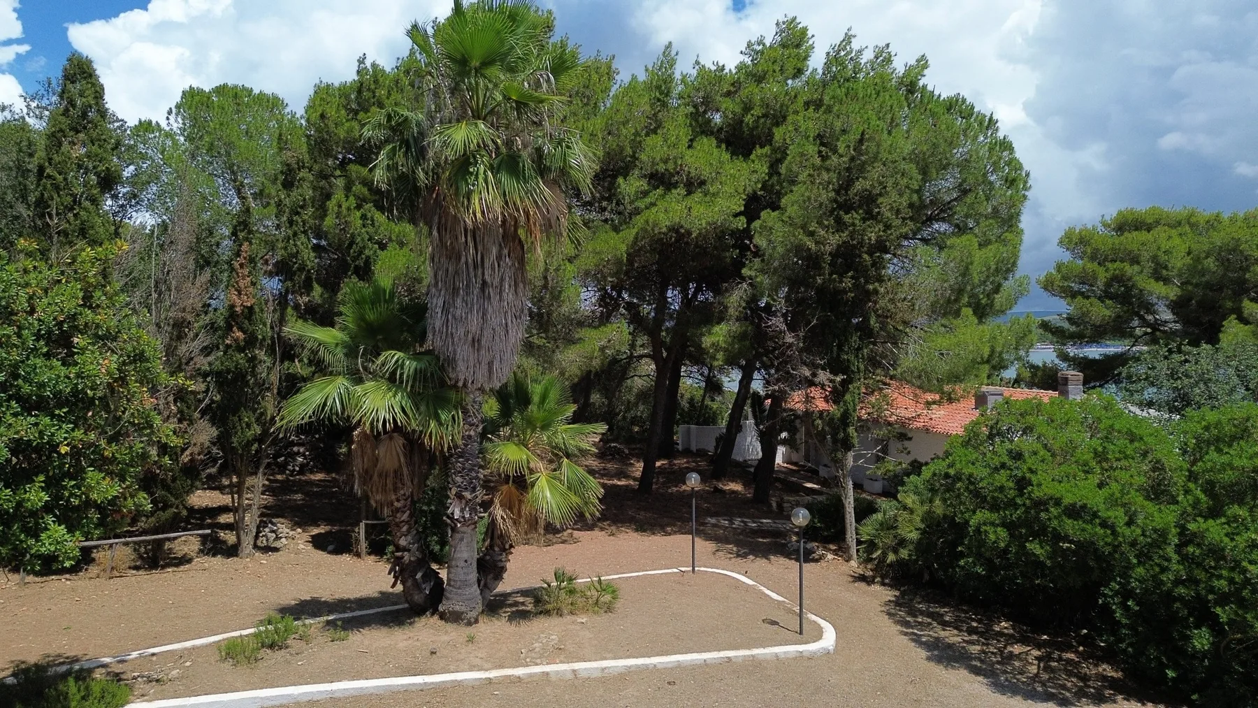 Un jardín exterior con palmeras, arbustos y un sendero pavimentado.