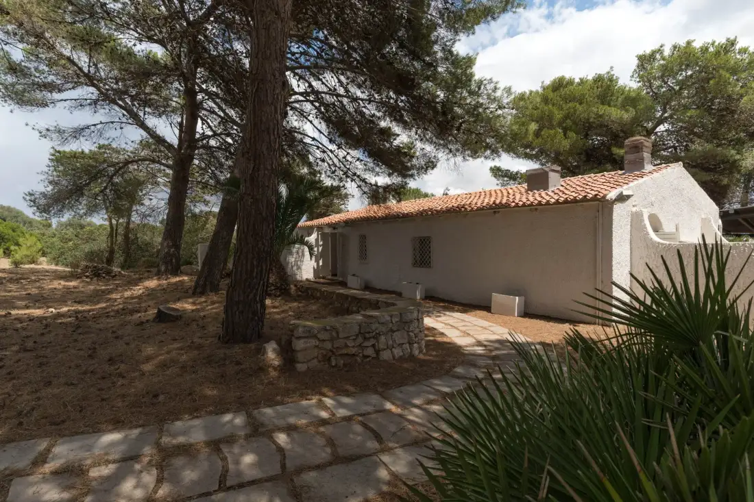 Una casa de una planta se encuentra bajo pinos junto a un sendero de piedra.