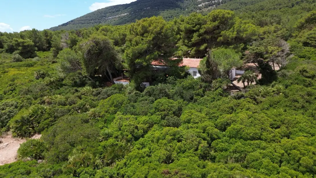 Un pequeño conjunto de edificios se encuentra entre vegetación densa, bajo una ladera boscosa.