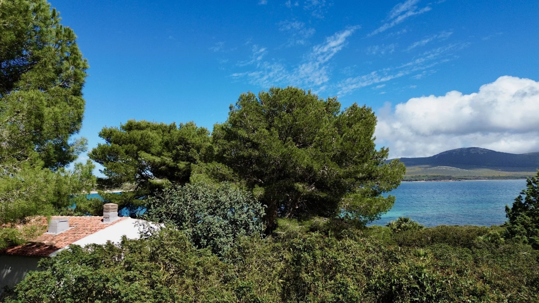 Un paisaje junto al lago con abundantes árboles verdes bajo un cielo azul.