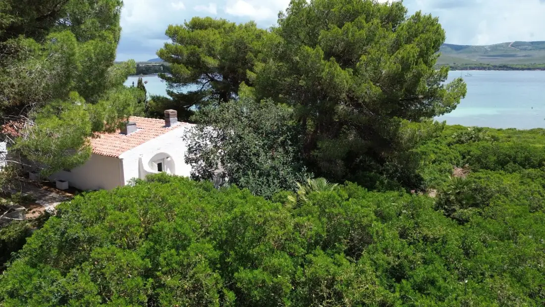 Una casa blanca con tejado de tejas está entre árboles, con vistas al agua.