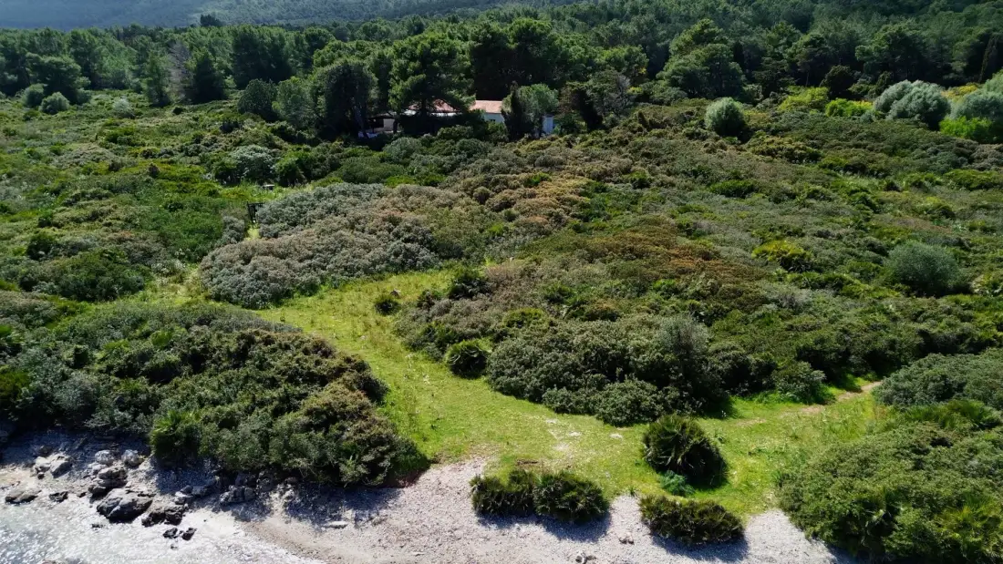 Una ladera verde con un sendero sinuoso conduce hacia árboles y edificios.