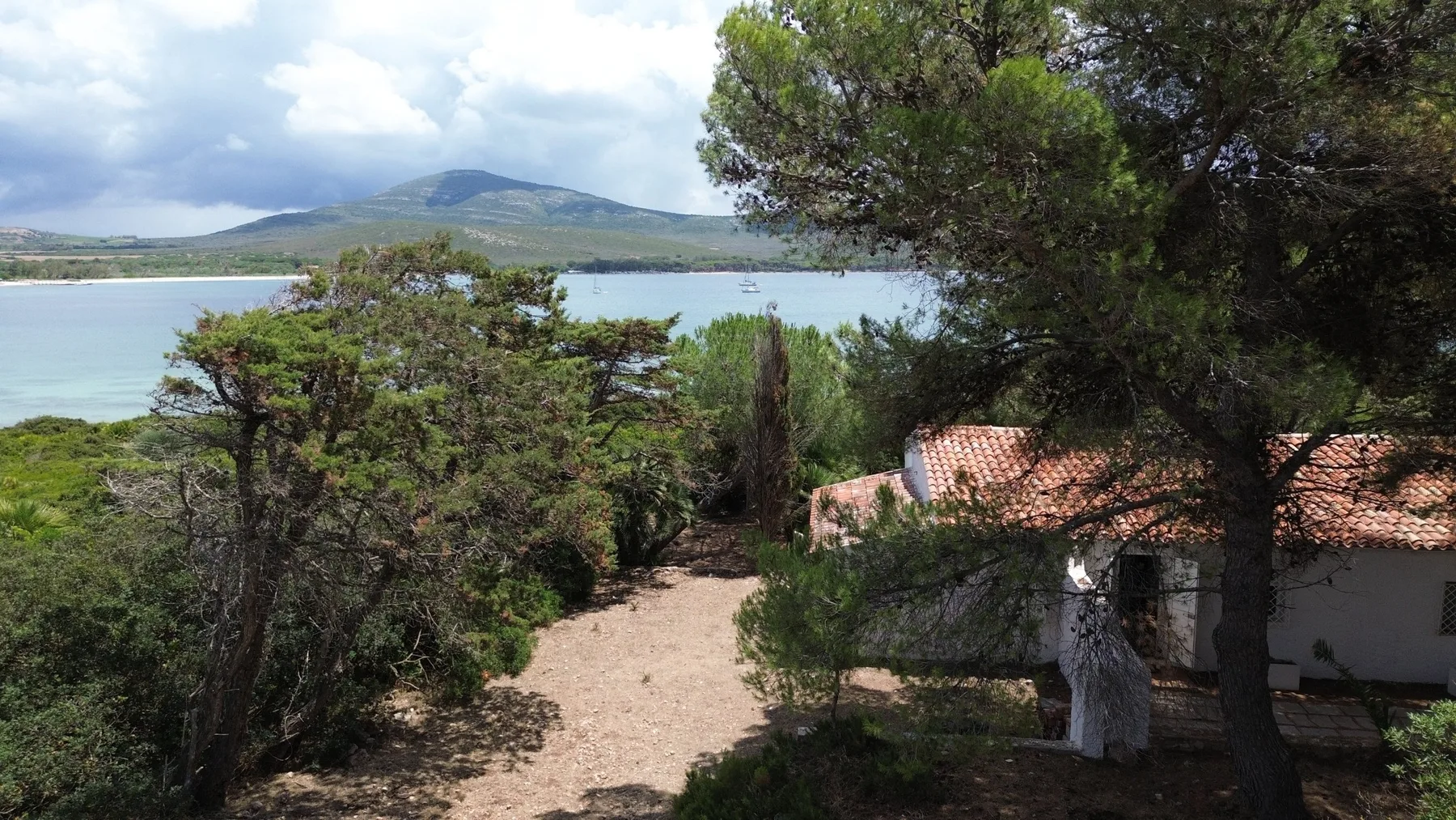 Un sendero de arena pasa entre árboles junto a un edificio blanco, con agua y colinas al fondo.