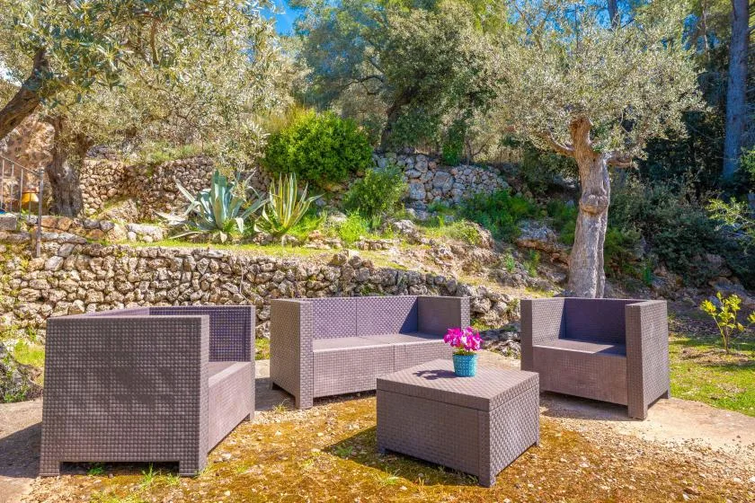 An outdoor seating area with woven furniture and a small table sits among trees.