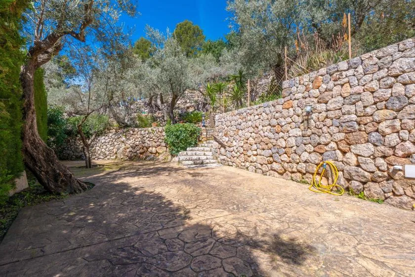 Un patio de piedra soleado con una pequeña escalera y árboles junto a los muros.