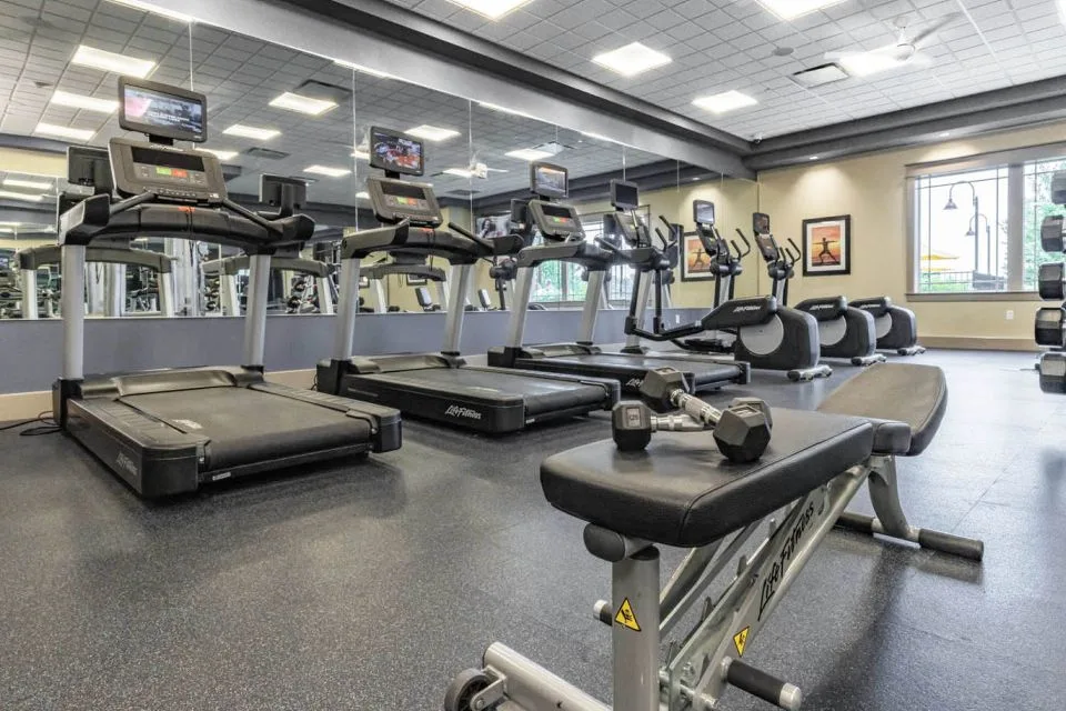 Gimnasio