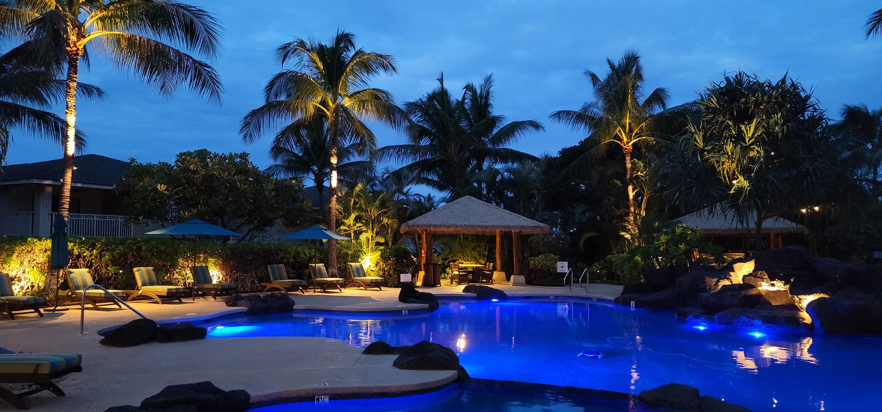 An outdoor swimming pool glows blue among palm trees and landscaped greenery at dusk.