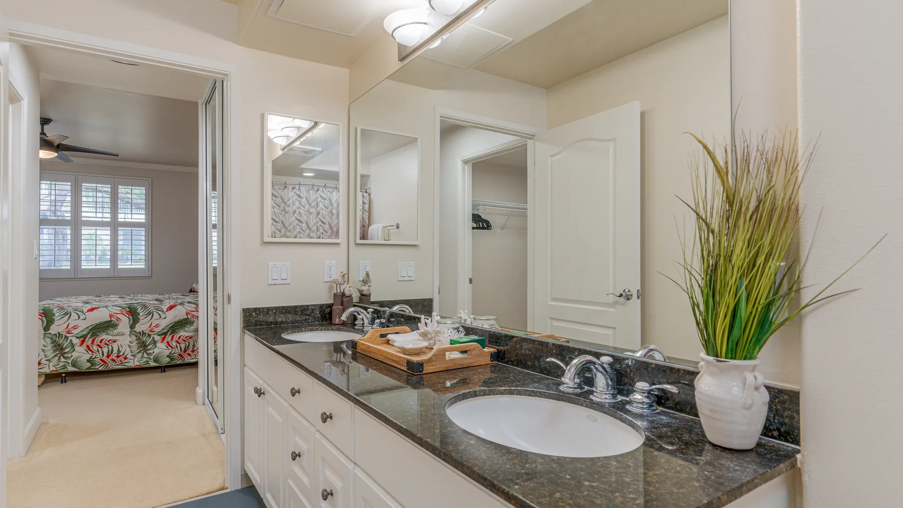 A bathroom vanity with a sink and a tall green plant.