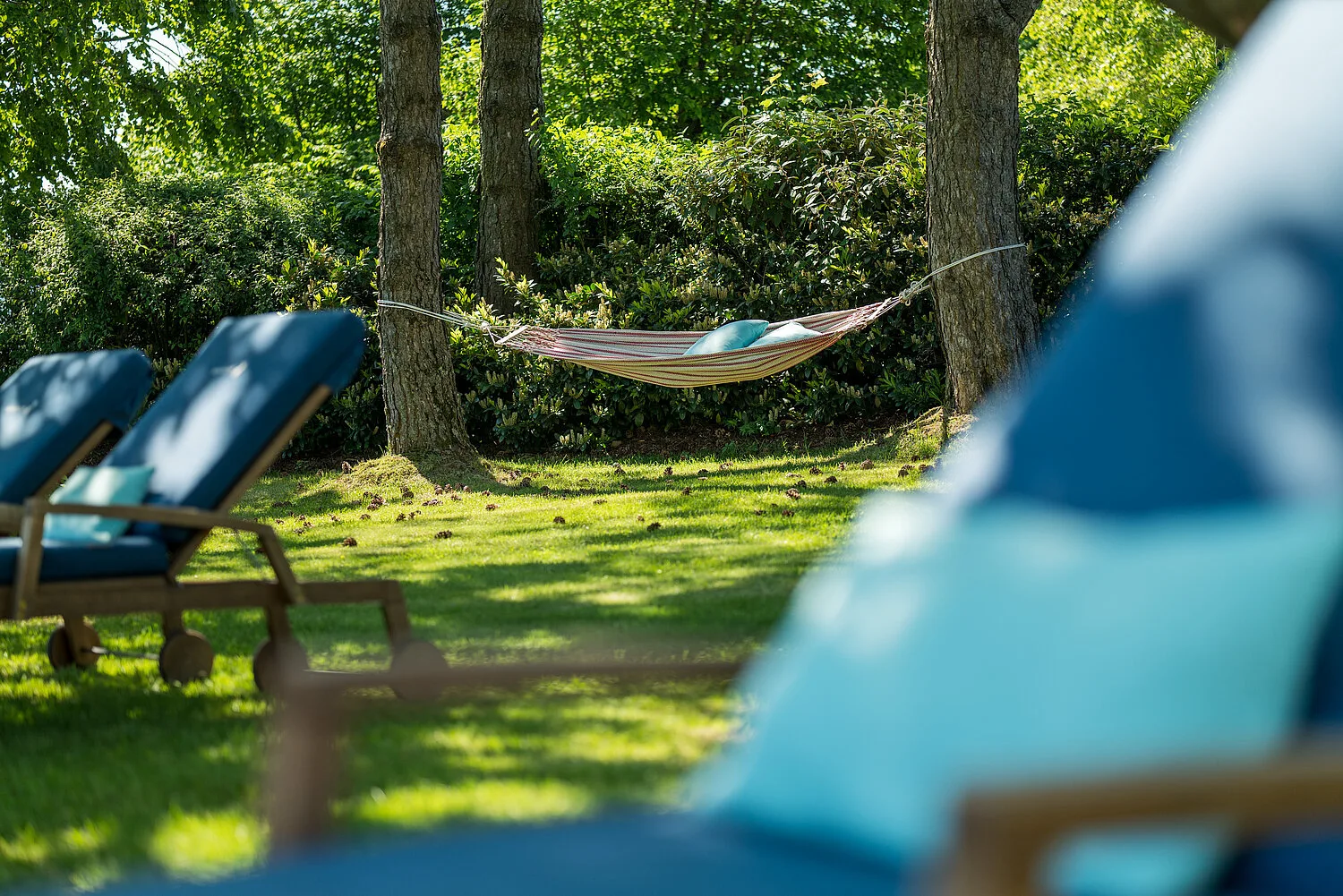 Hammock area