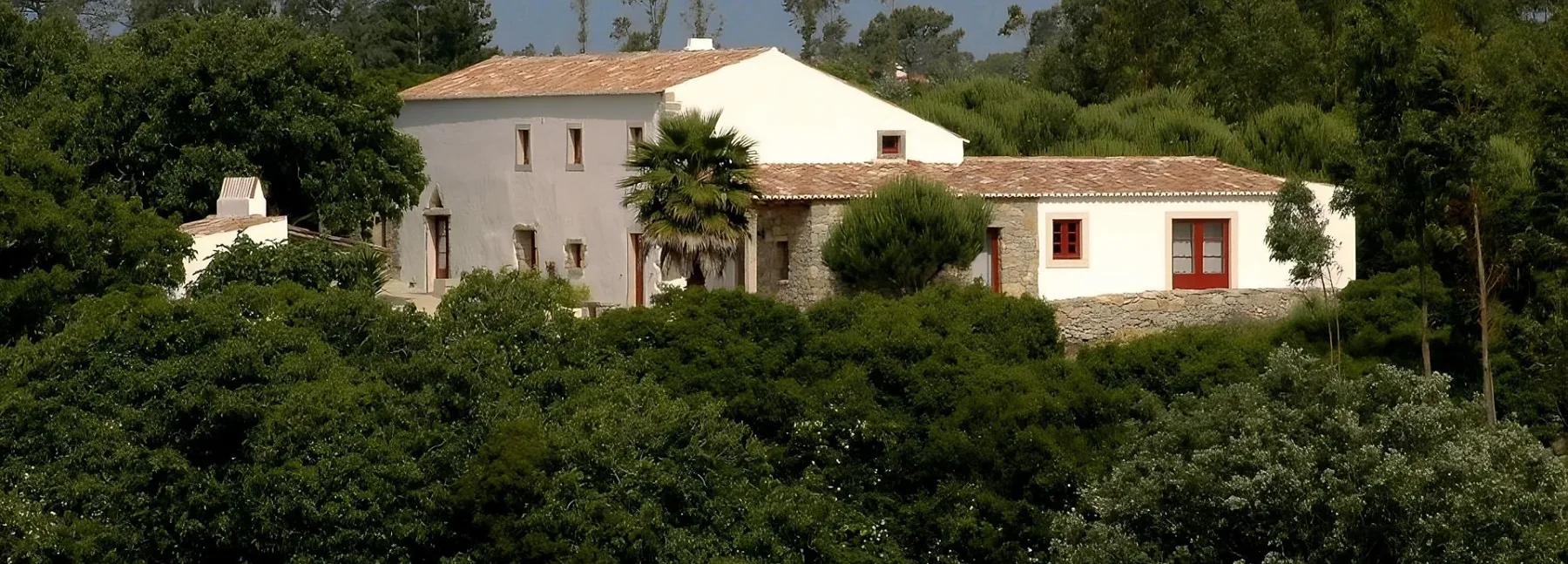 House image