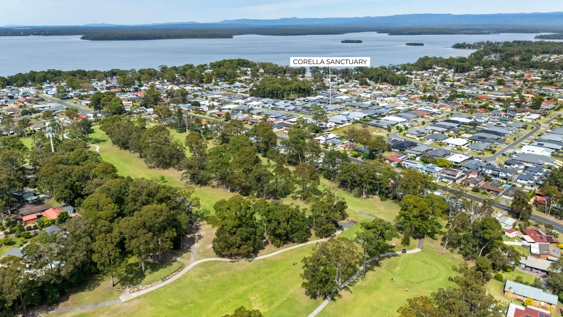 Vista aérea de una zona residencial arbolada junto a un amplio lago.
