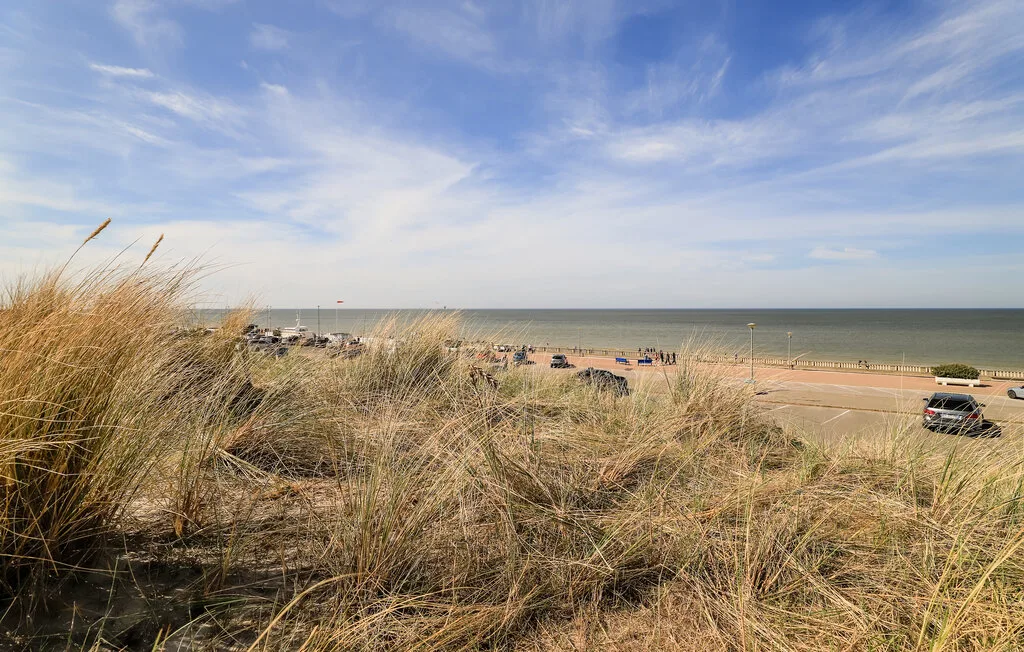 Beach dunes covered in tall grasses overlook the shoreline and sea.