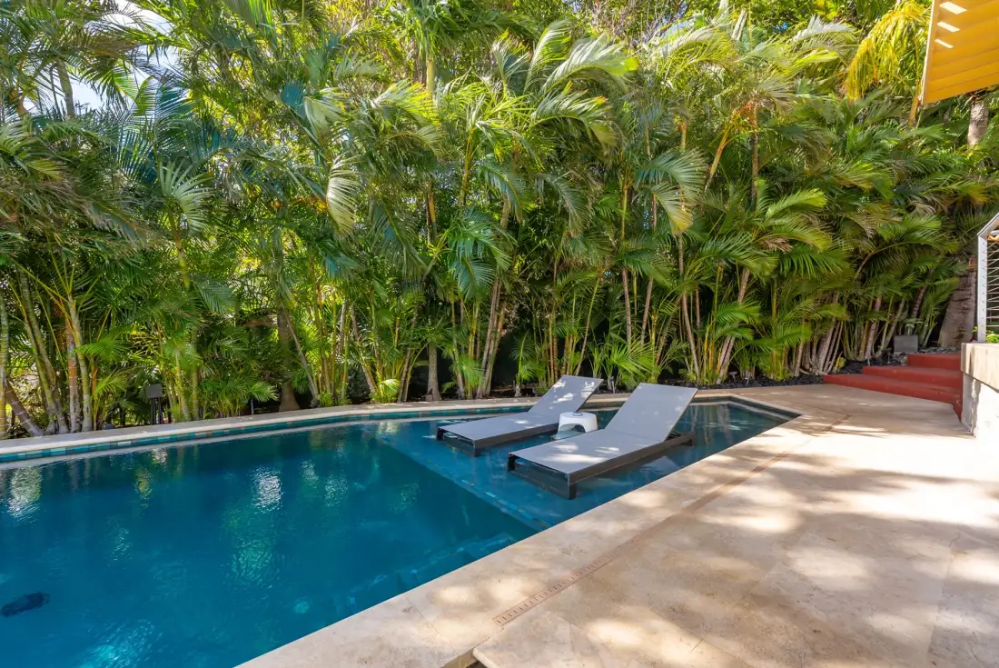 An outdoor swimming pool bordered by dense tropical greenery, with lounge chairs in the water.