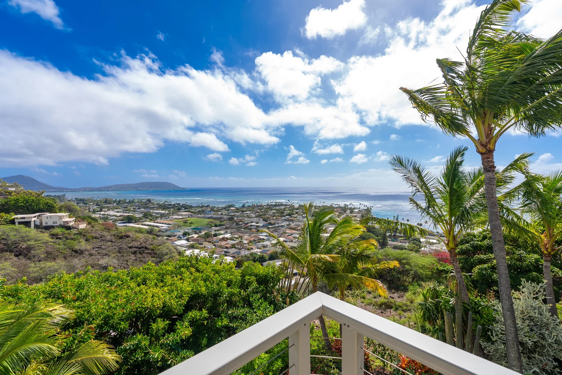 A balcony overlooks a coastal town and the ocean, framed by palm trees.