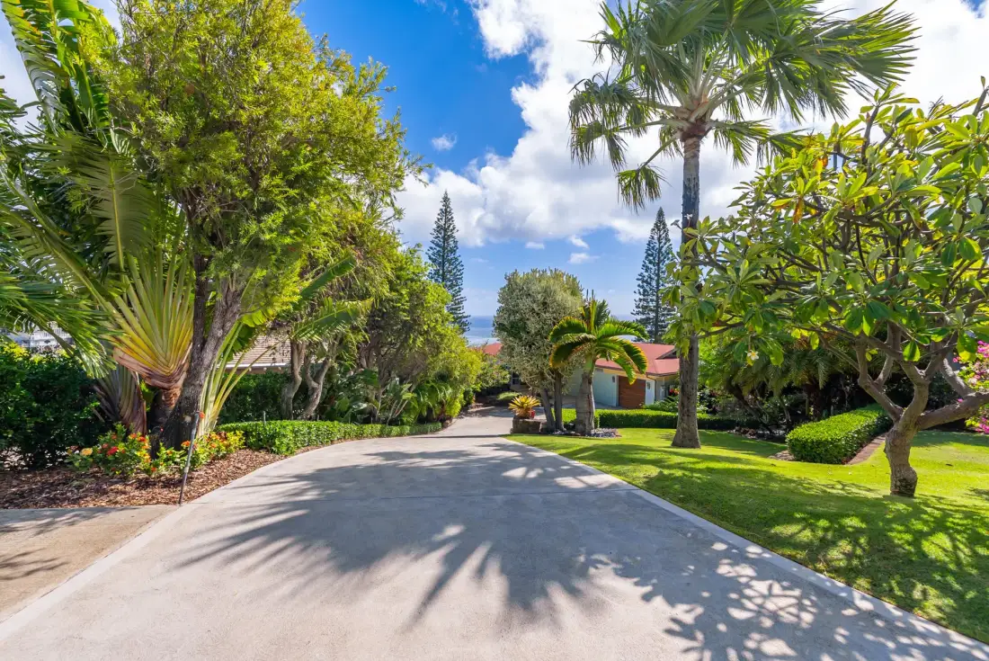 A landscaped driveway curves past green lawns and tropical trees.