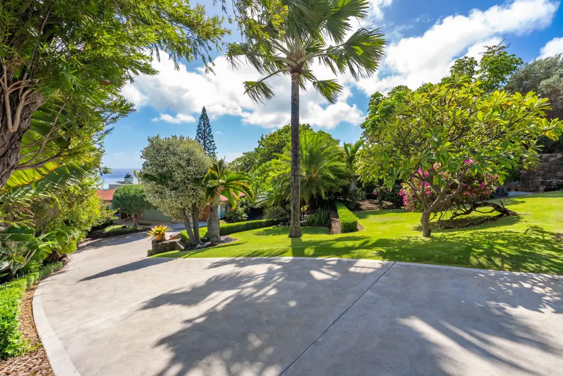 A landscaped garden with a paved driveway, palm trees, and flowering shrubs.