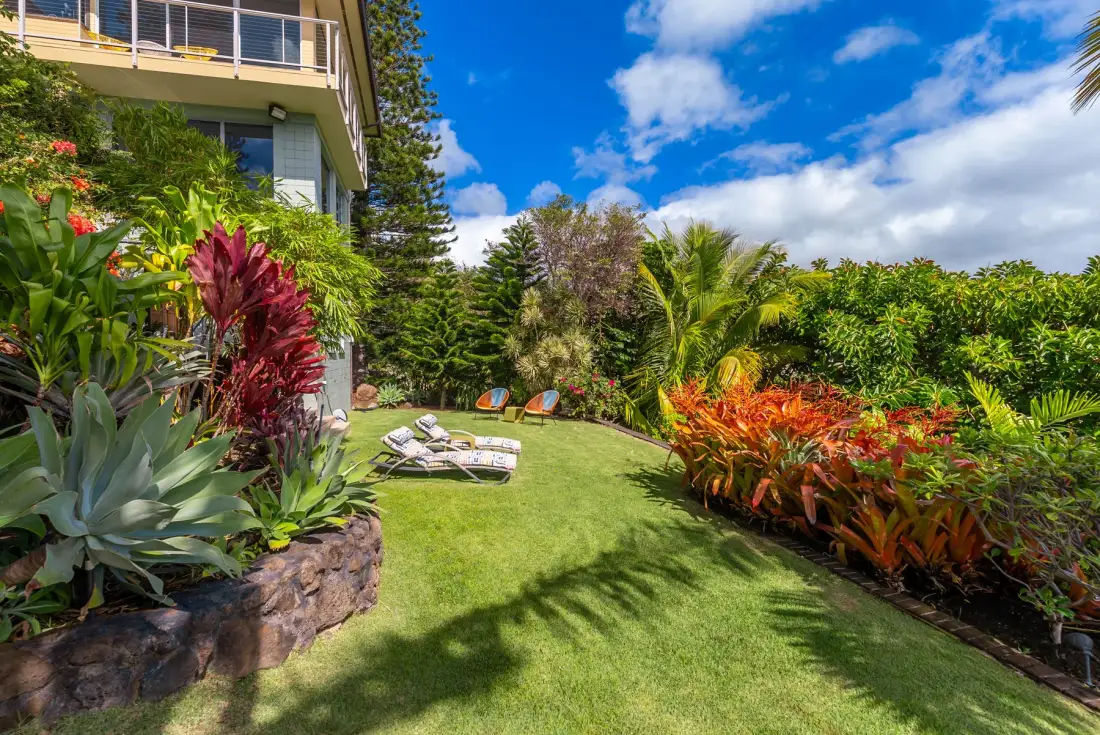 A landscaped garden with a lawn, colorful plants, and outdoor loungers.