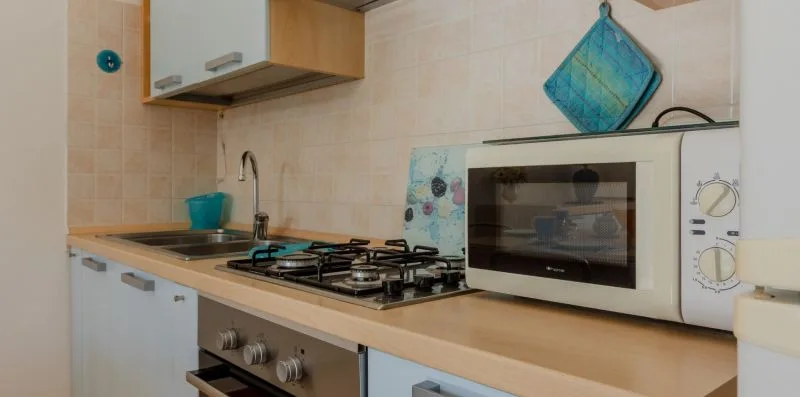 Una encimera de cocina con una placa de cocción, un fregadero y un microondas.