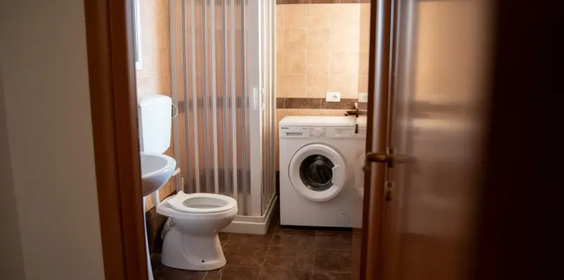 Un baño con lavadora, inodoro y ducha.
