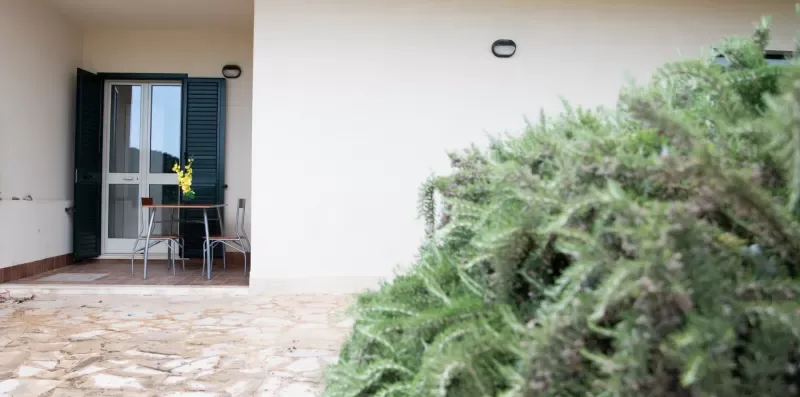 Un patio pavimentado junto a un edificio blanco, con una puerta acristalada y vegetación.