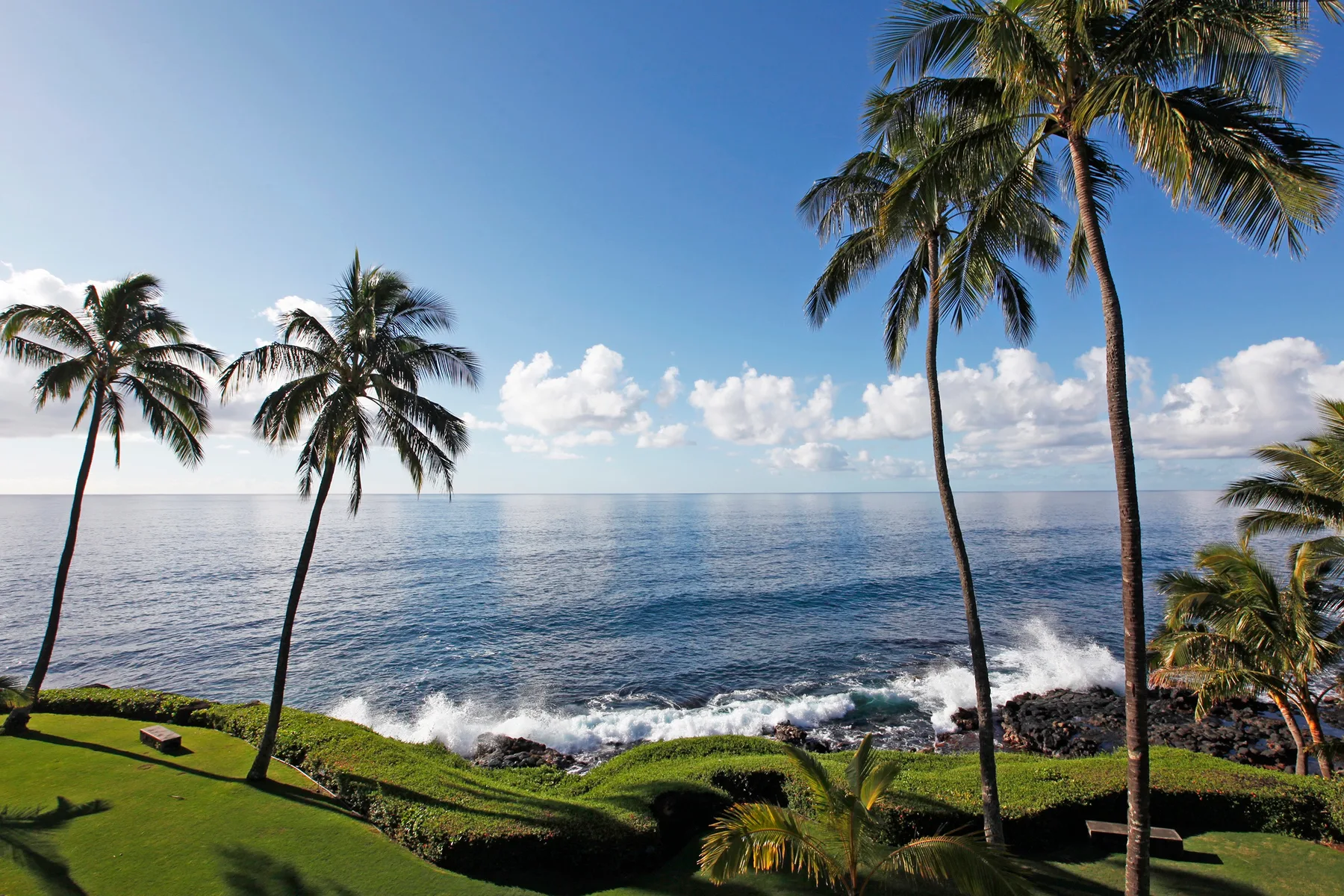Paisaje tropical junto al mar, con palmeras y olas en la costa.