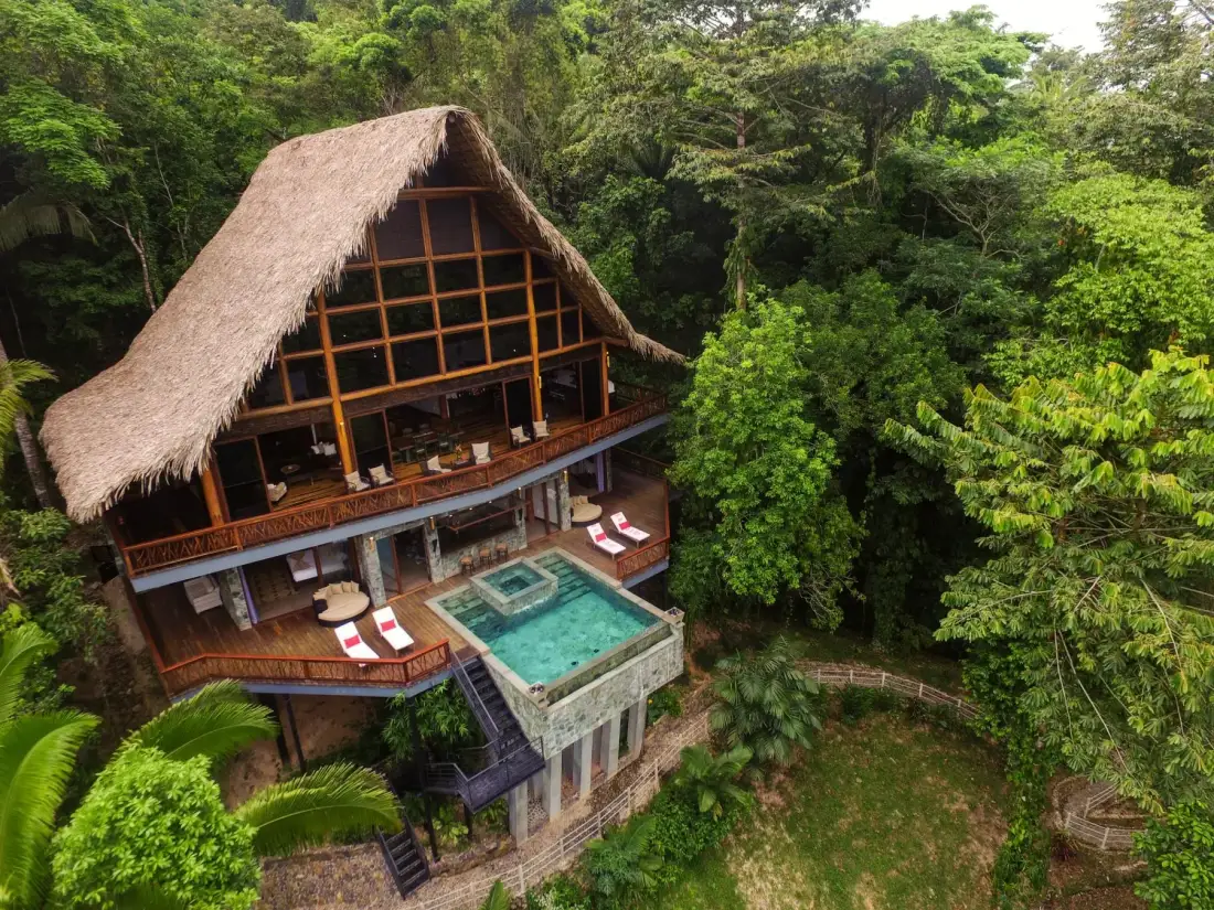 A multi-level lodge with a steep thatched roof sits among dense green trees.