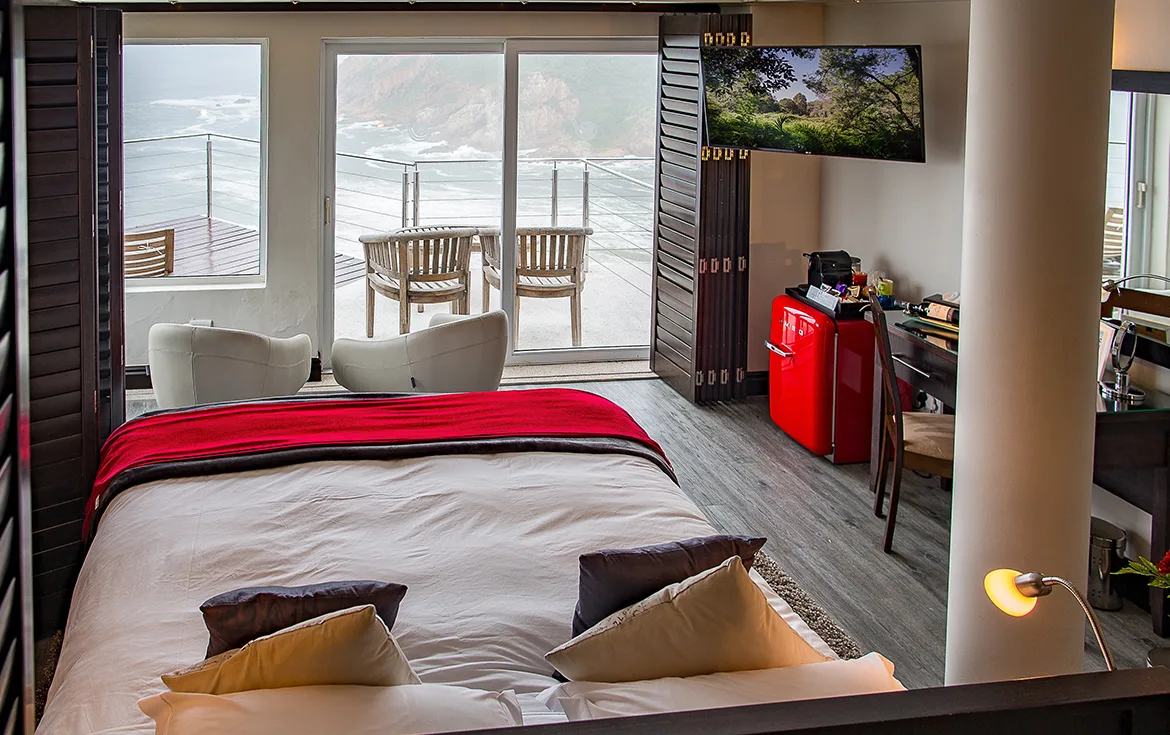 Suite Ballena