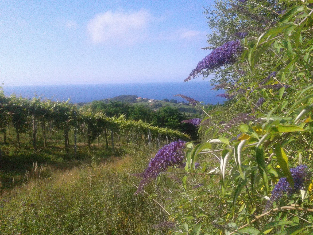 Surroundings of Abeta Zaharra