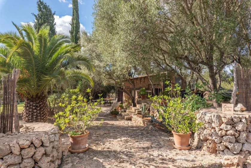 A garden path leads past potted plants toward a shaded wooden structure.