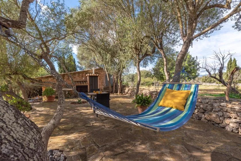 Outdoor patio beneath leafy trees, with a colorful hammock beside a rustic wooden structure.