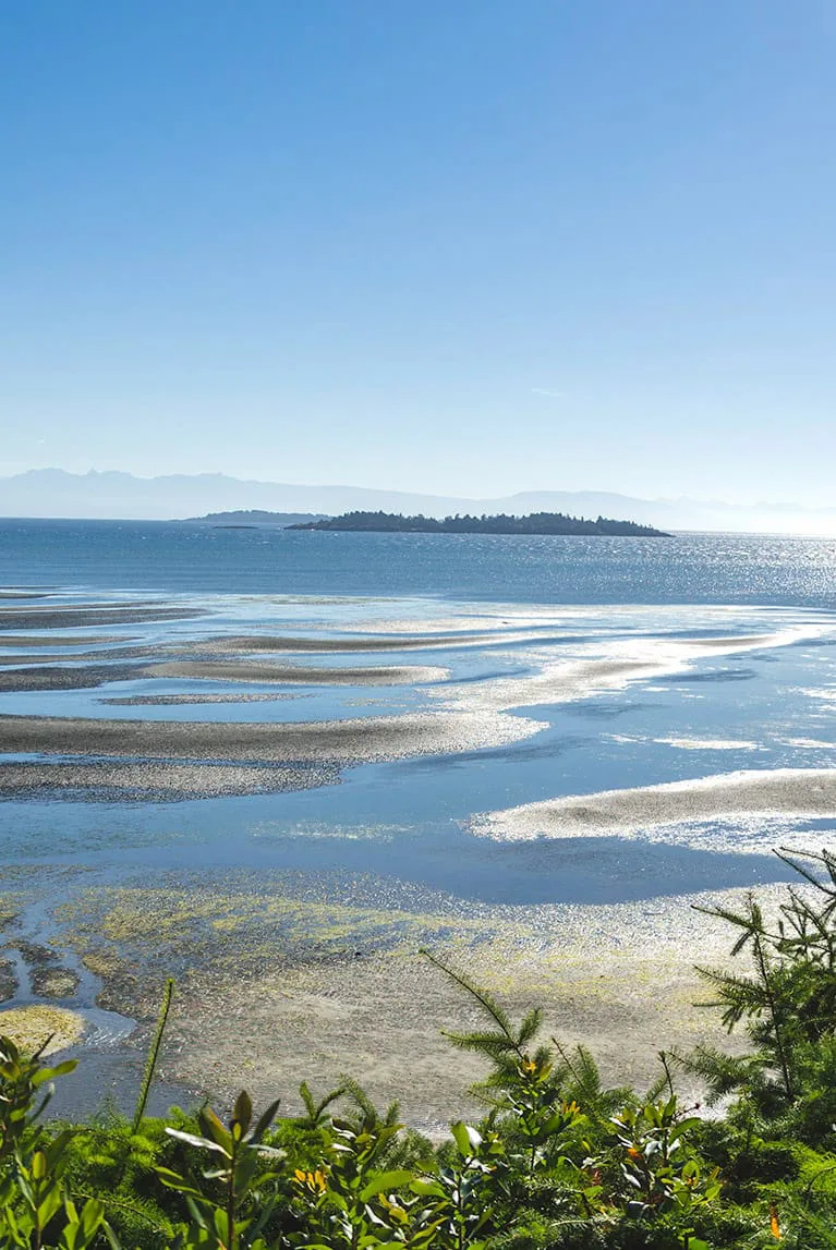 Rathtrevor Beach sand in Parksville