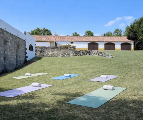 Esterillas de yoga sobre el césped.