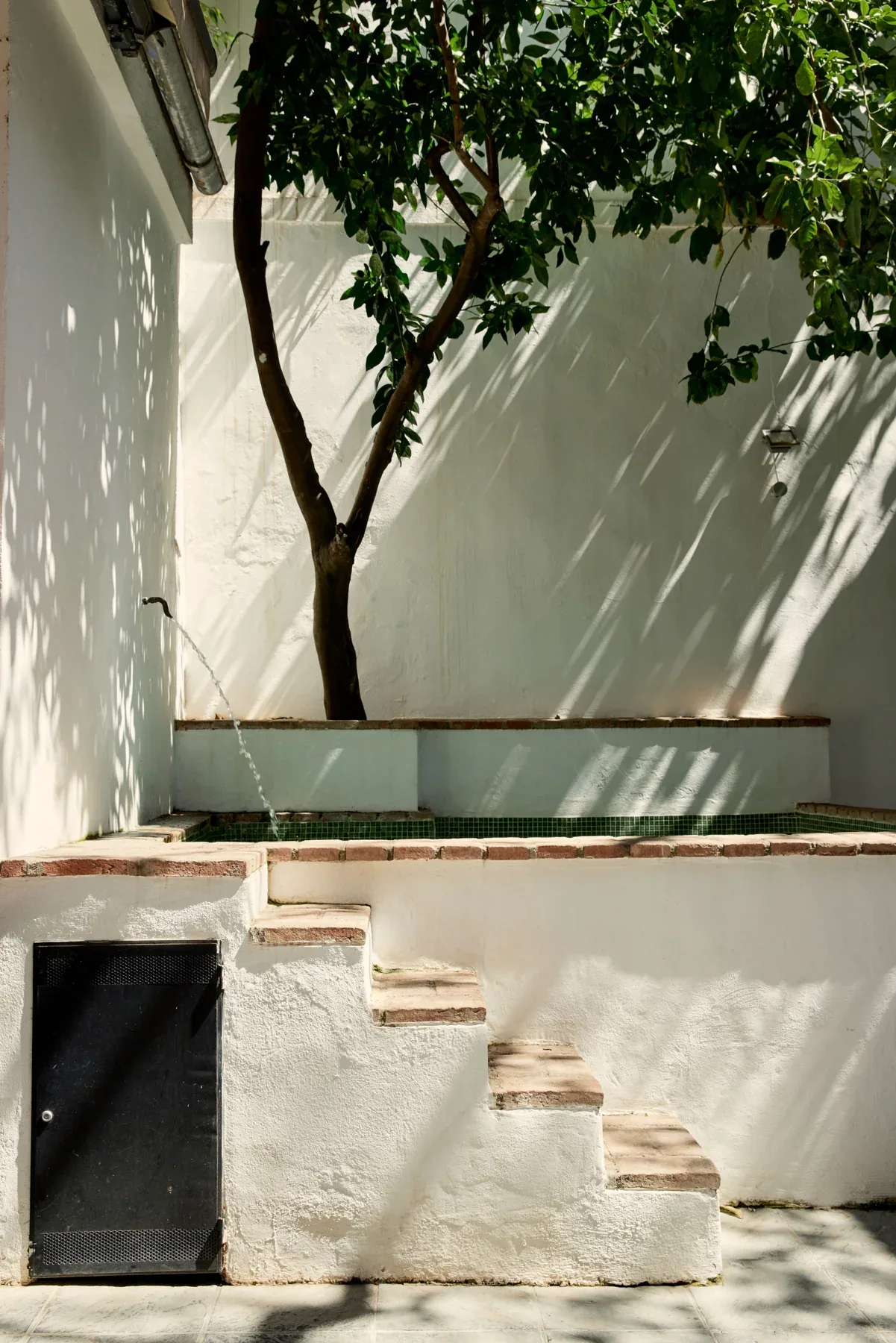 Steps and greenery beside the pool
